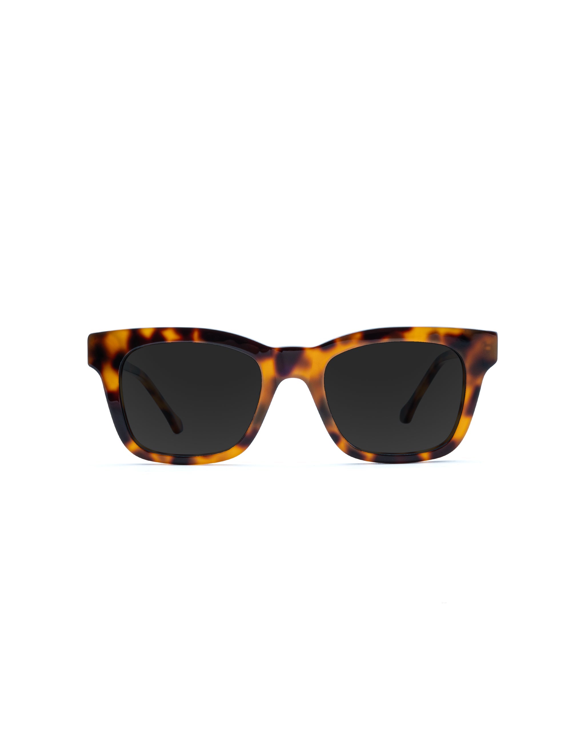 Ellis Sunglasses Single Vision