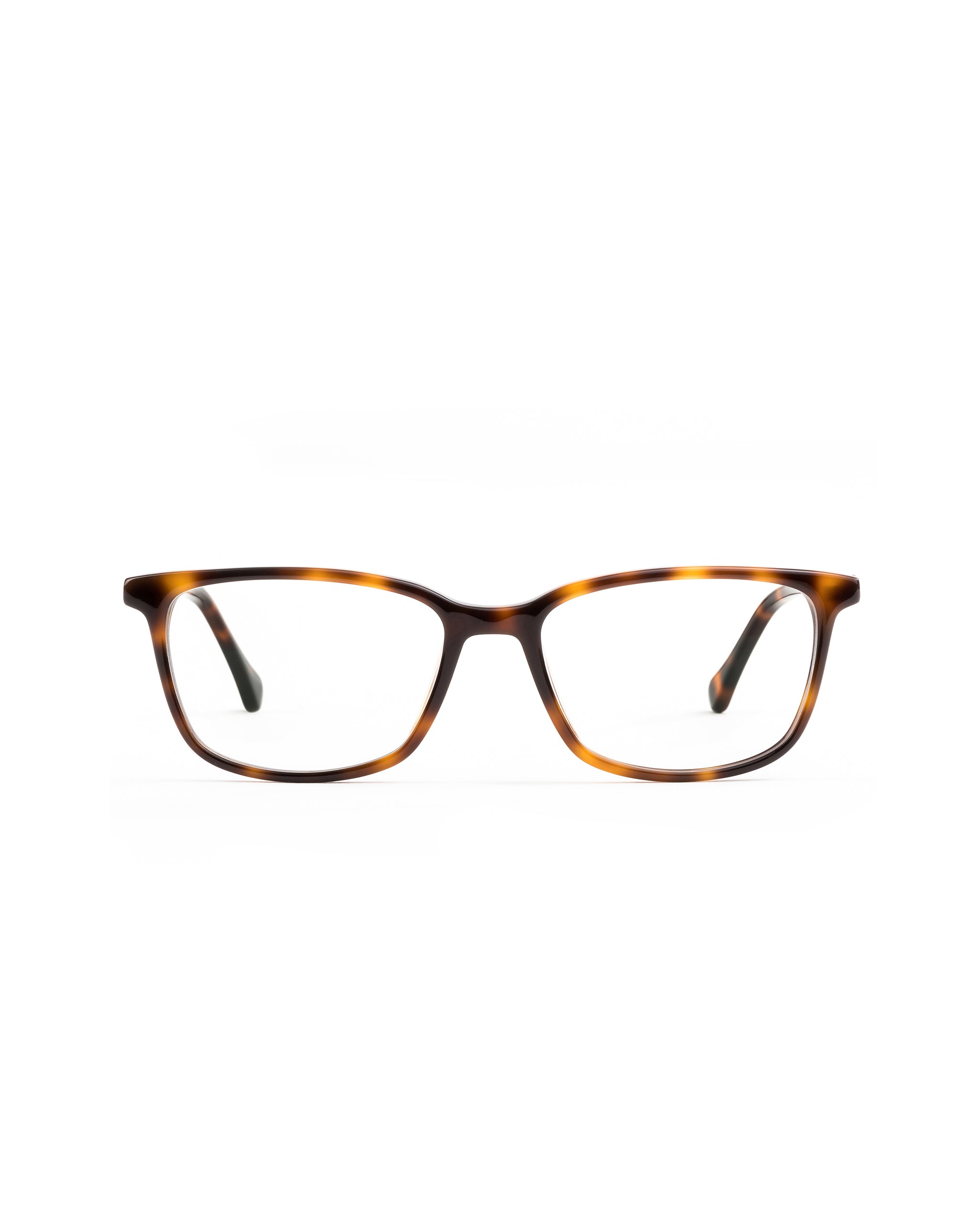 Faraday Single Vision