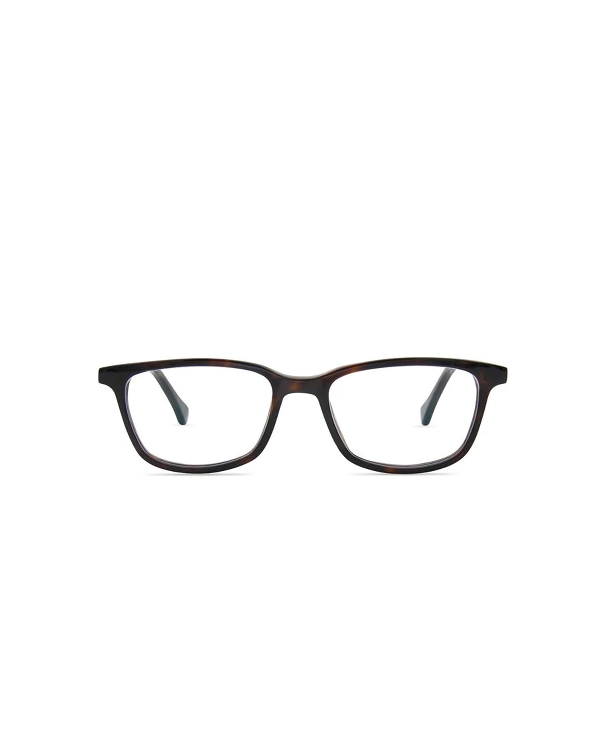 Faraday Kids Plano