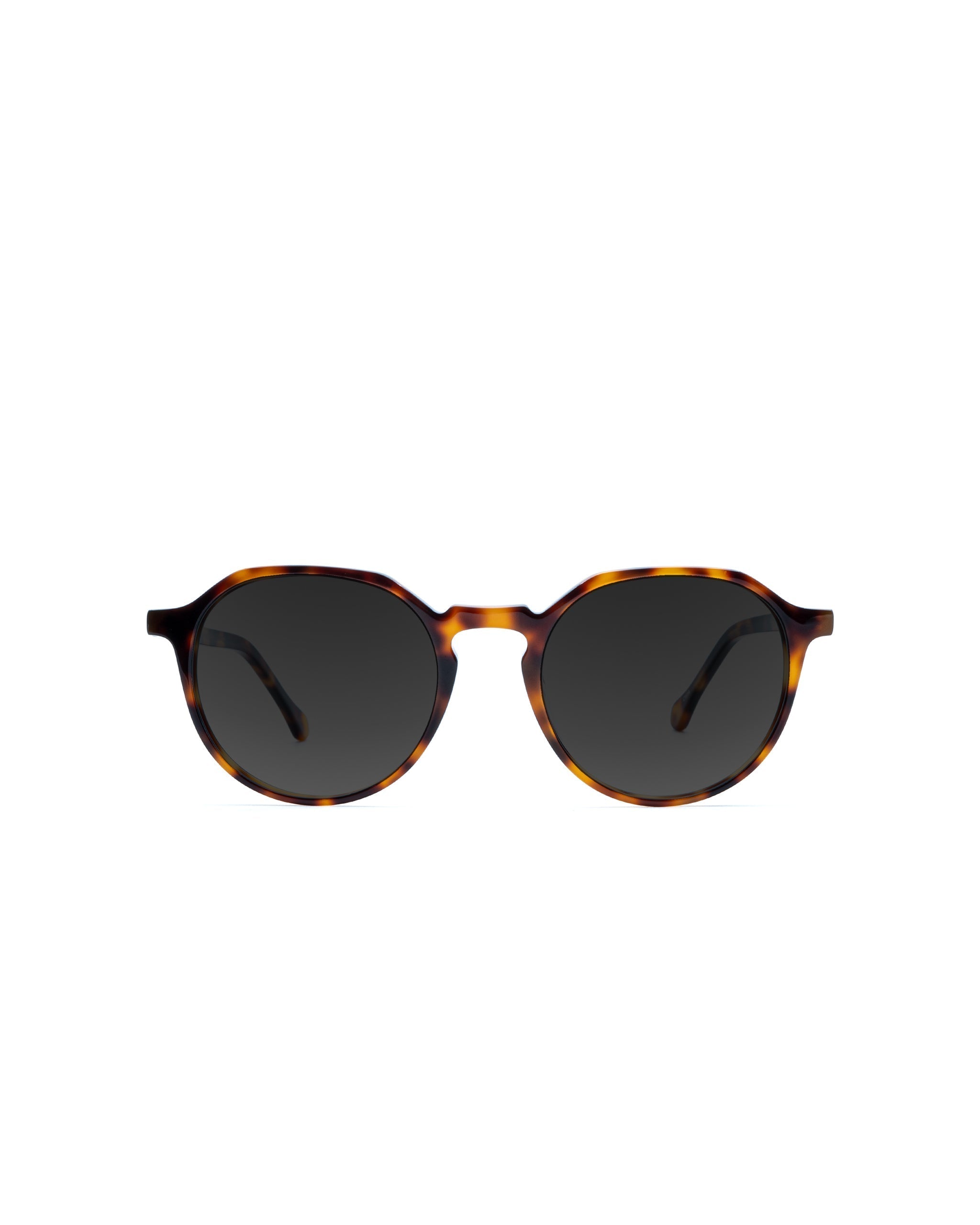 Franklin Sunglasses Single Vision
