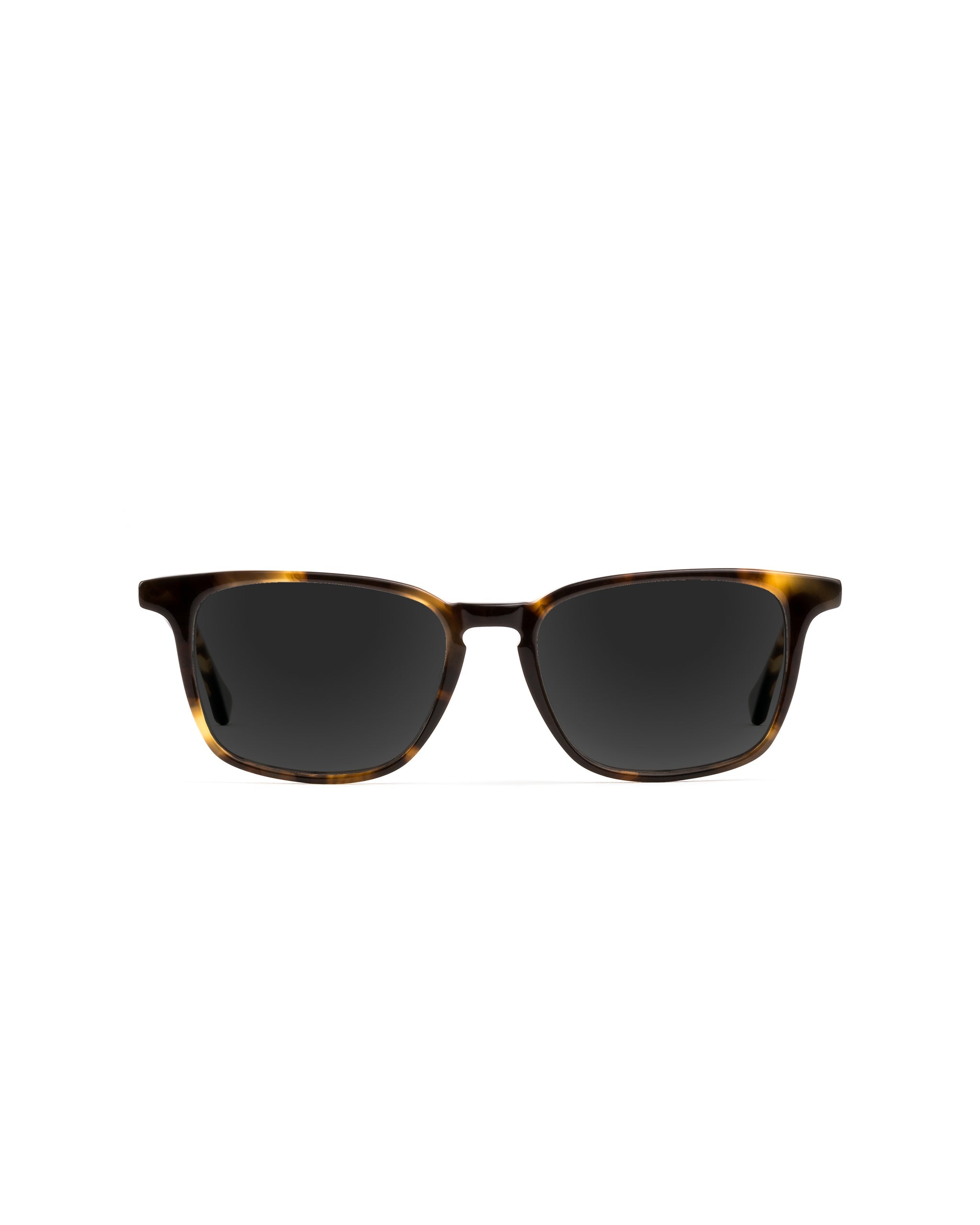 Nash Sunglasses Plano