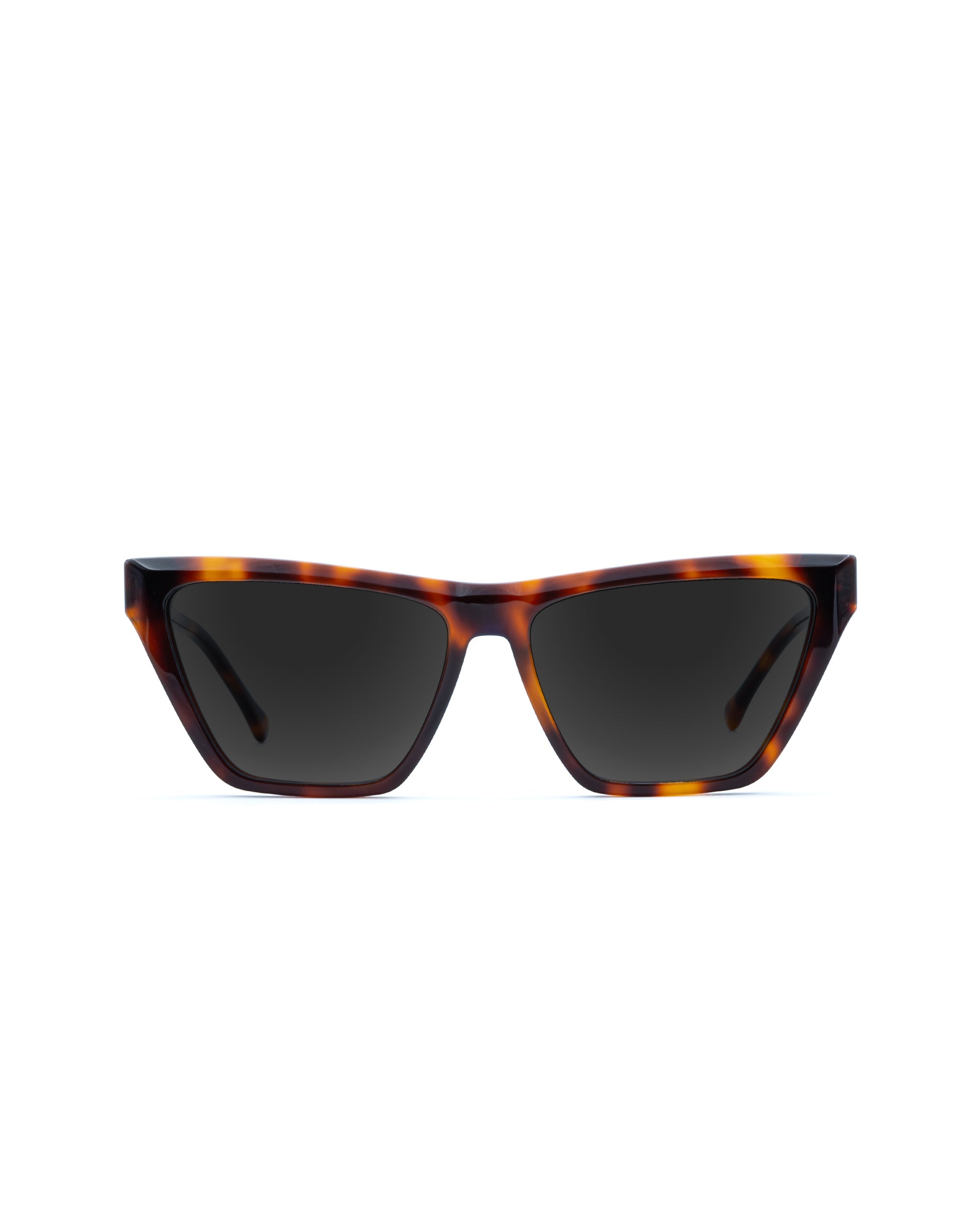 Raven Sunglasses Plano