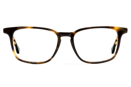 Nash eyeglasses in whiskey tortoise viewed from front
