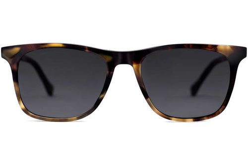 Jemison sunglasses in whiskey tortoise viewed from front
