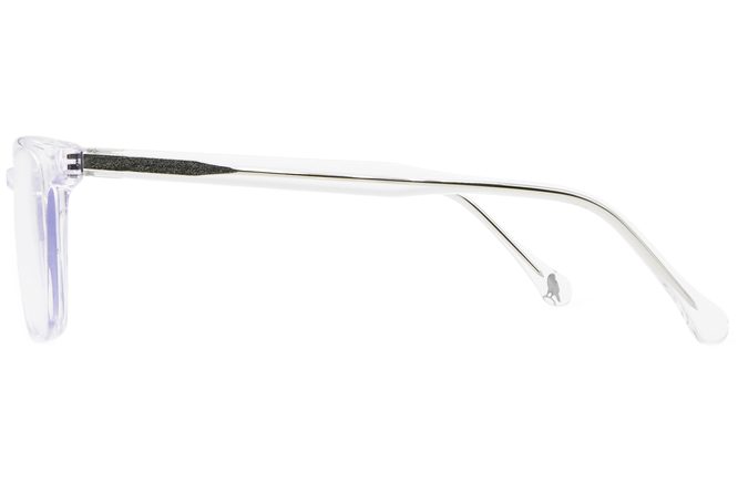 Nash eyeglasses in panorama viewed from side