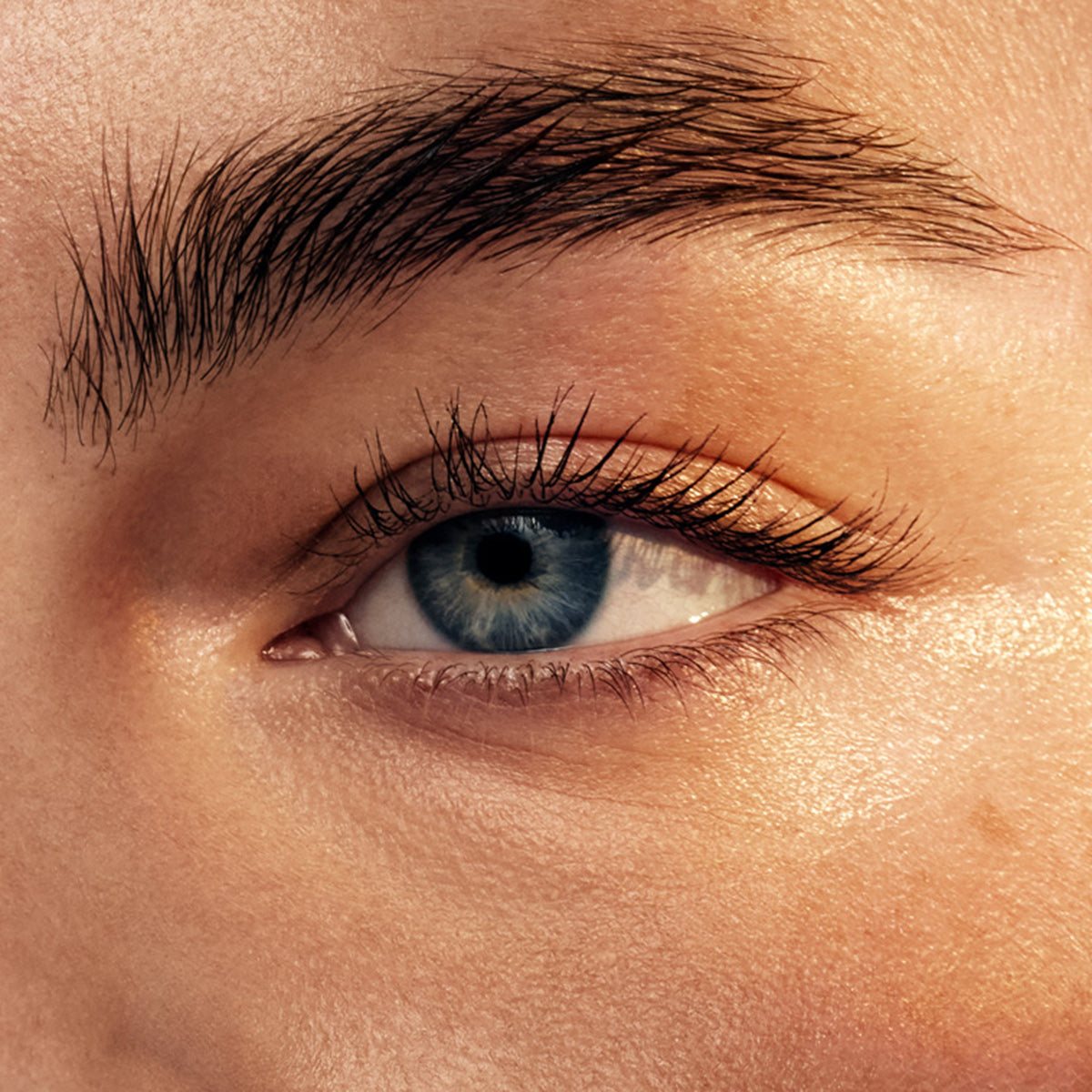 Close up of a blue eye soaked in warm summer light