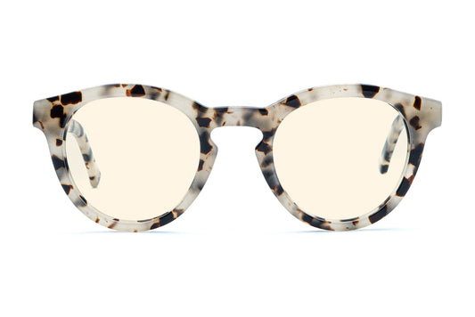 Alexander - Ivory Tortoise