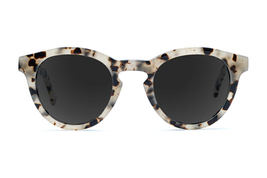 Alexander - Ivory Tortoise