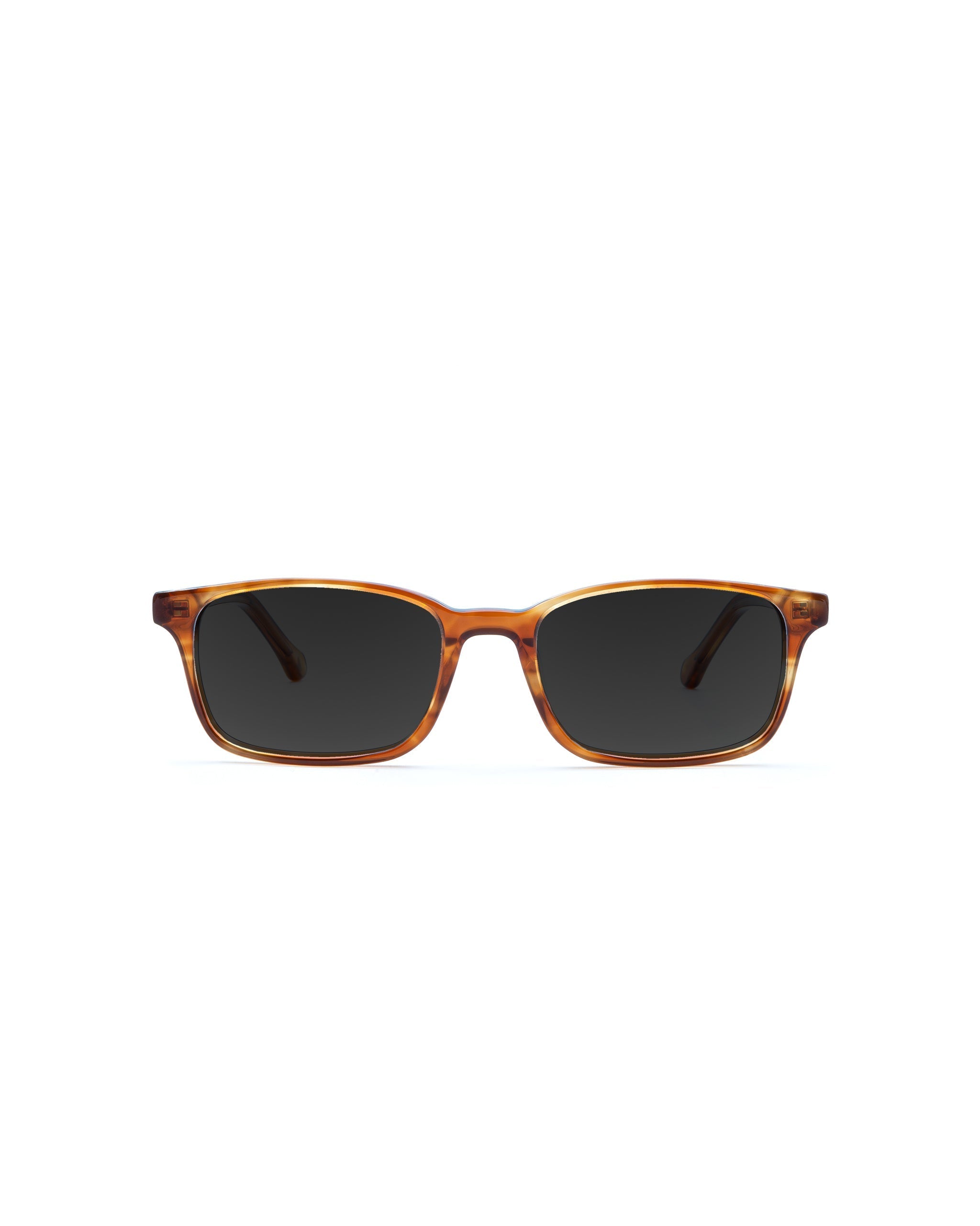 Carver Sunglasses Single Vision