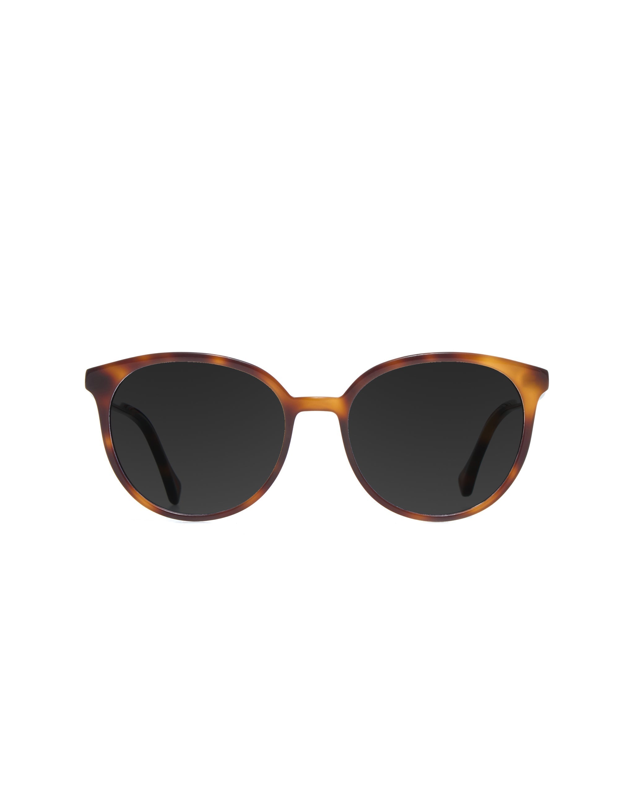 Elion Sunglasses Progressive