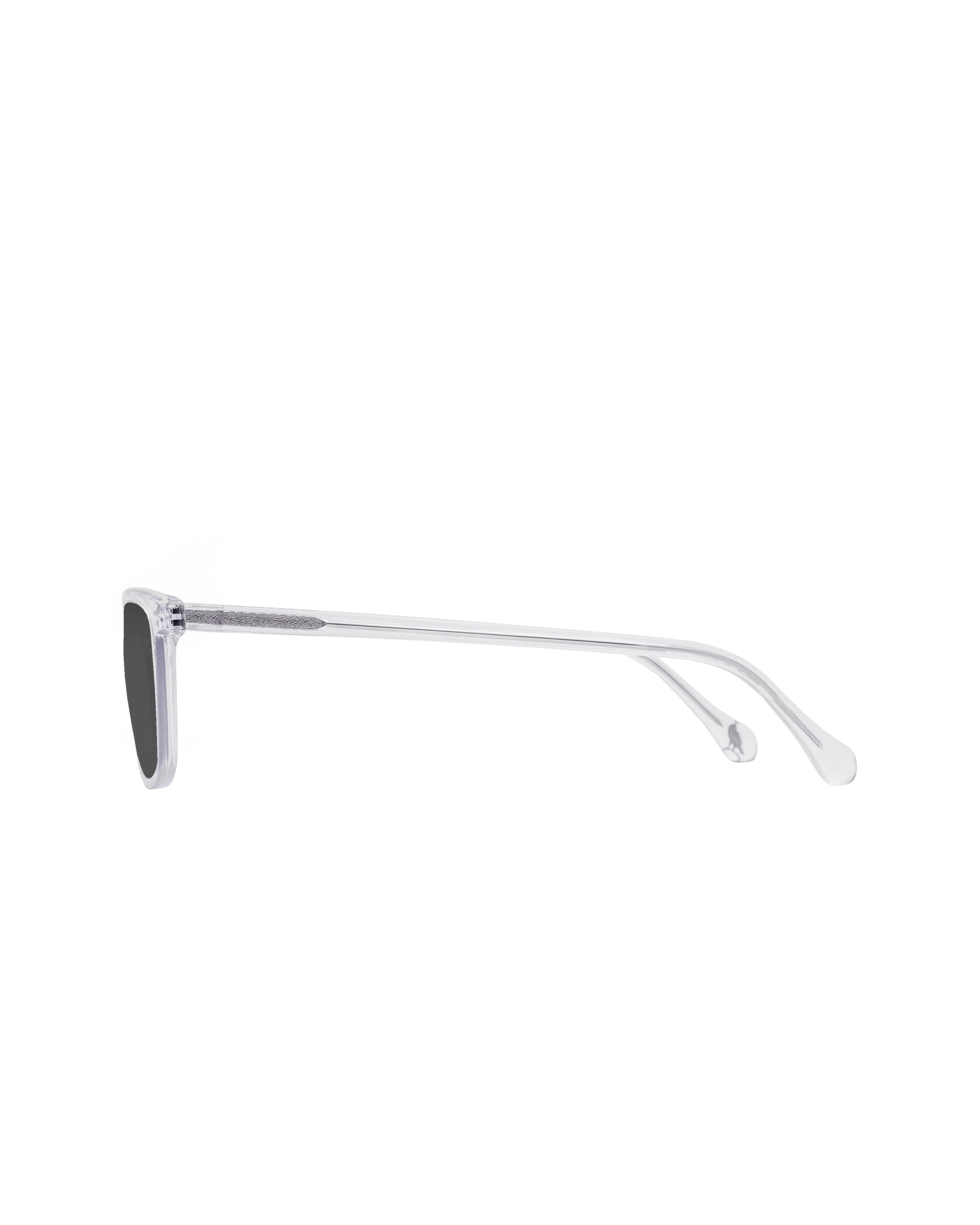 Faraday Polarized Sunglasses - Panorama frame Plano lenses
