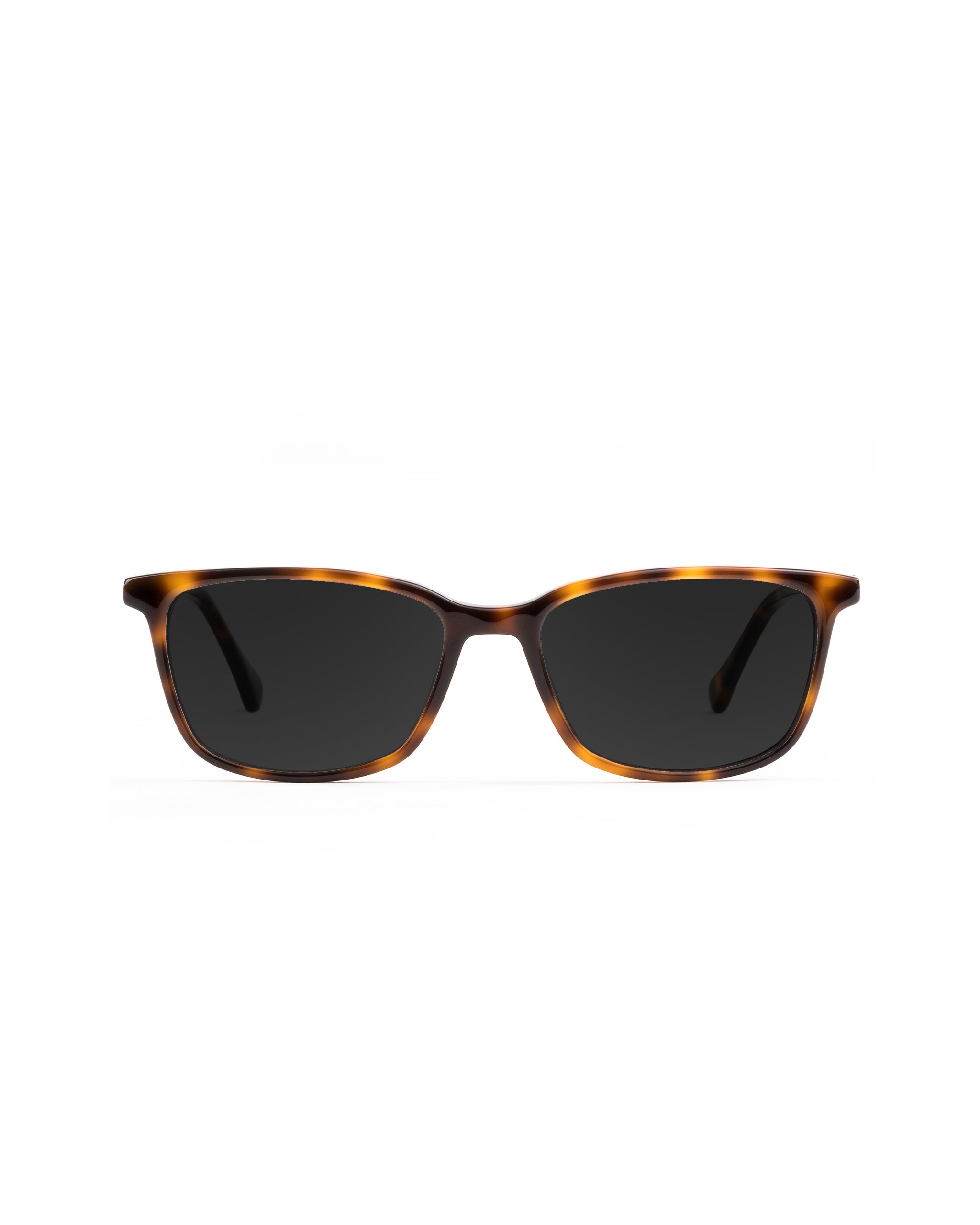 Faraday Sunglasses Plano