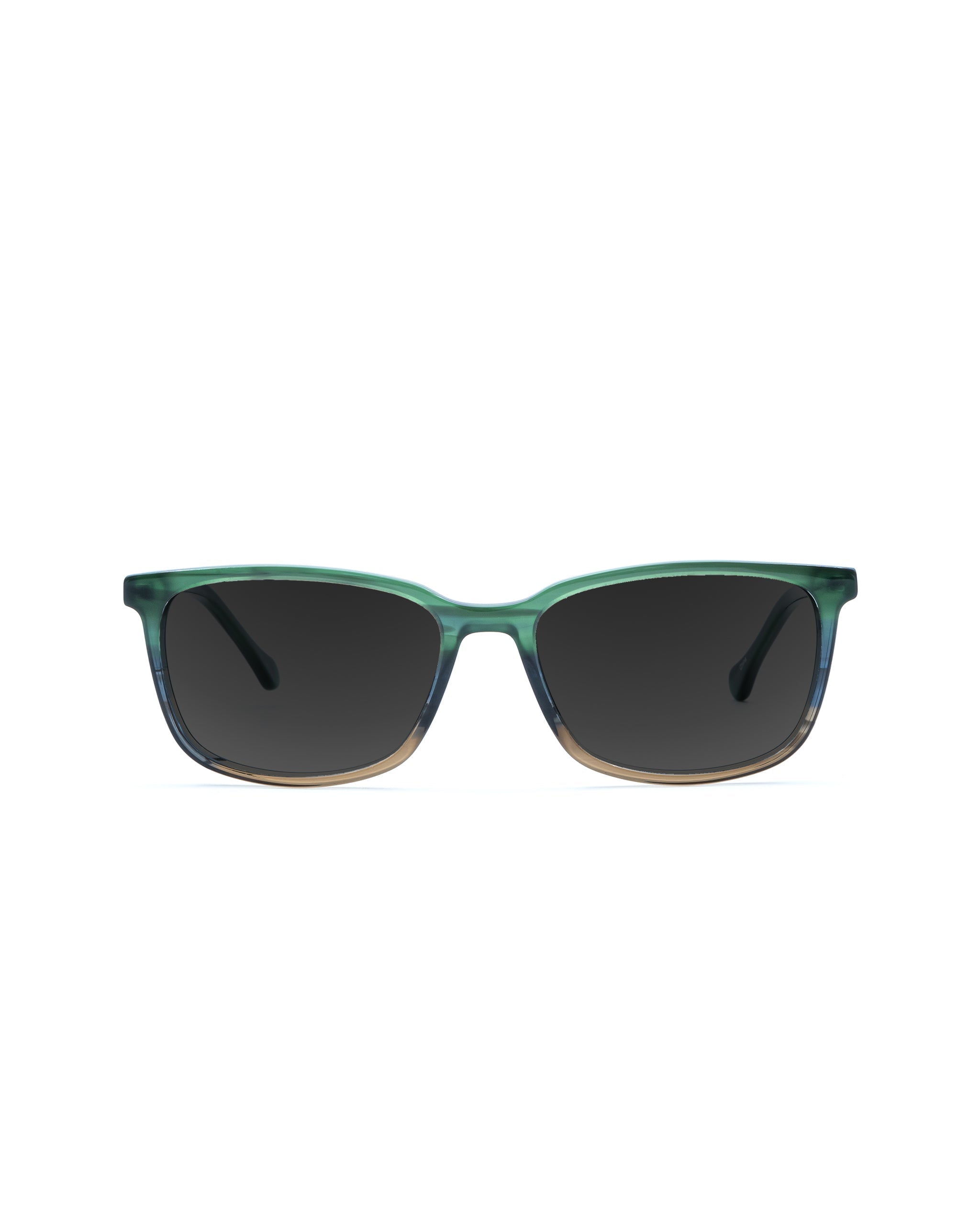 Faraday Polarized Sunglasses - Panorama frame Plano lenses