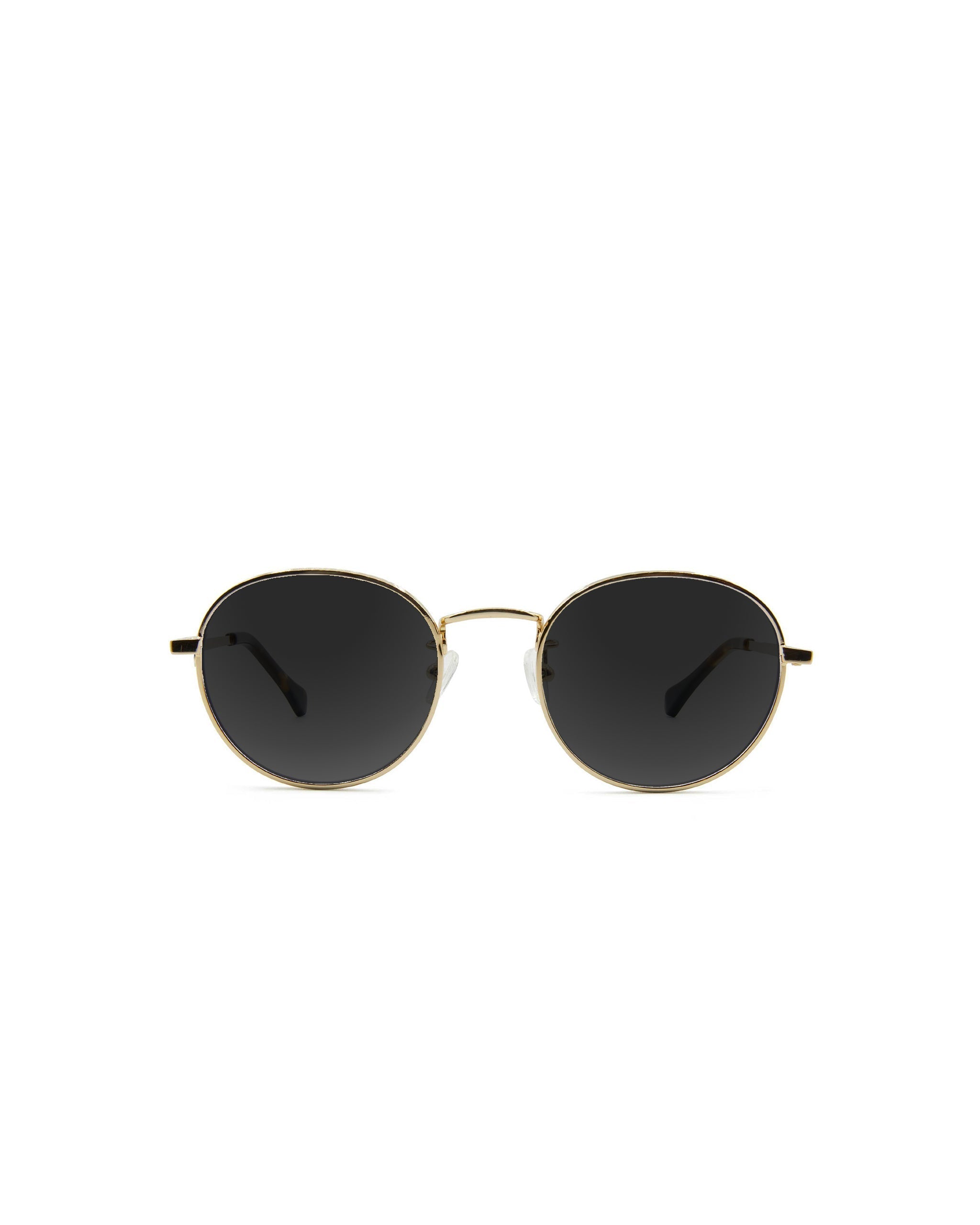 Hamilton Sunglasses Progressive