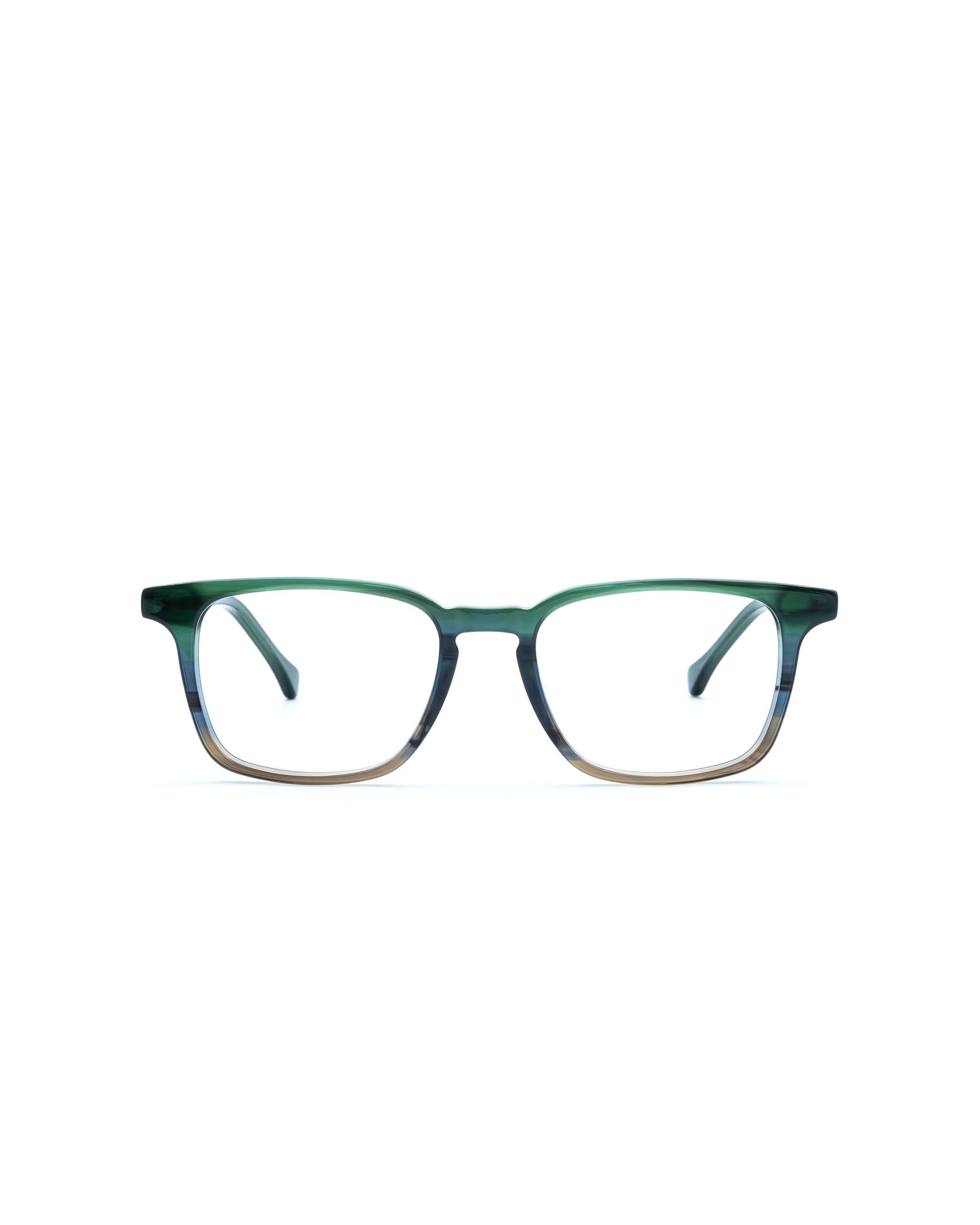 Nash Single vision