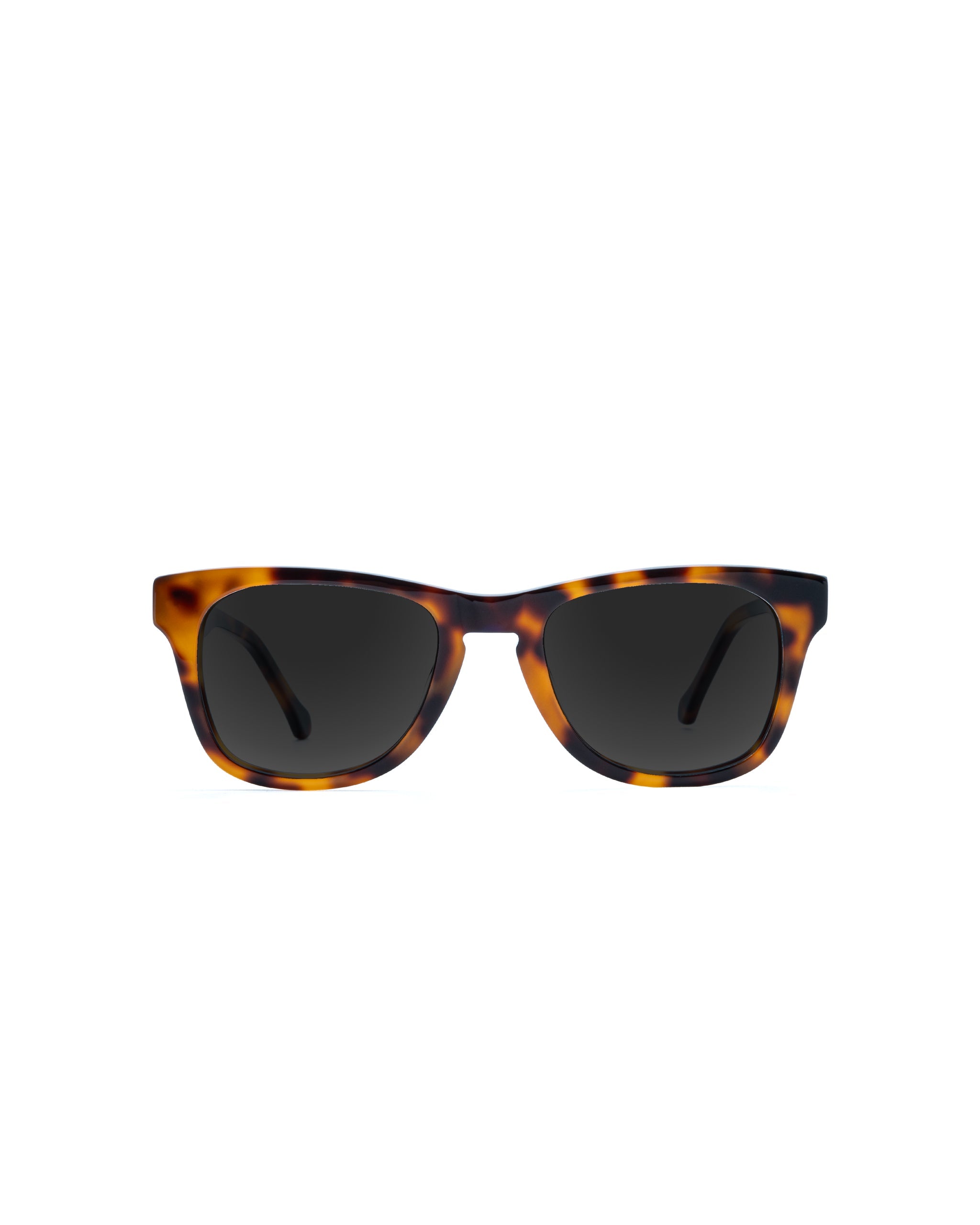 Phoenix Sunglasses Plano