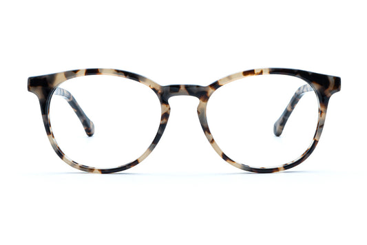 Roebling - Driftwood Beach