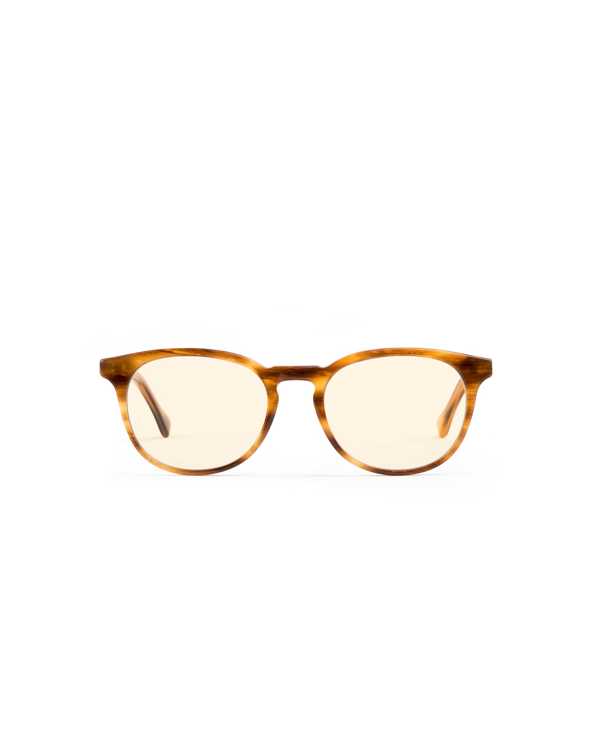 Roebling Sunglasses Single Vision