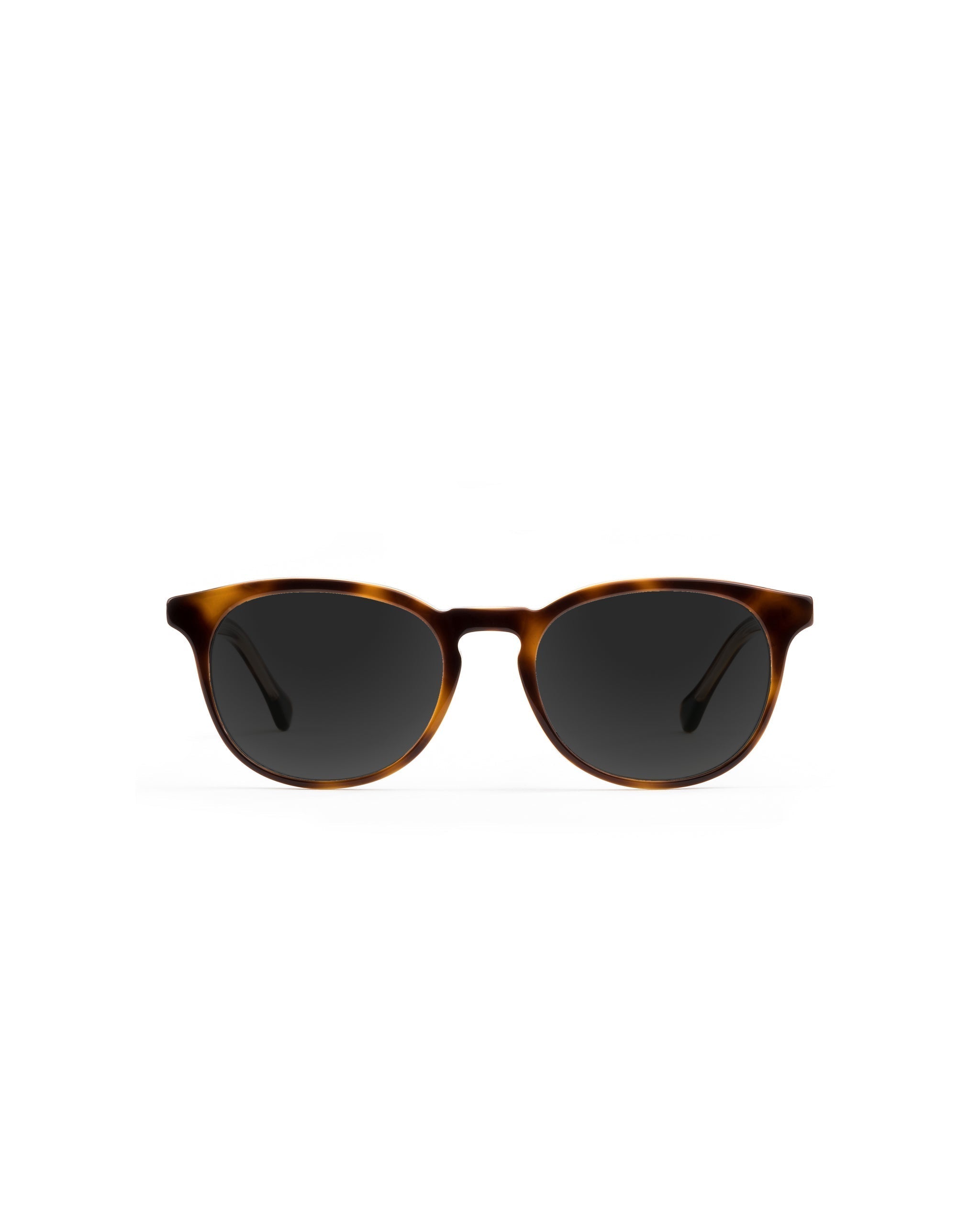 Roebling Sunglasses Plano
