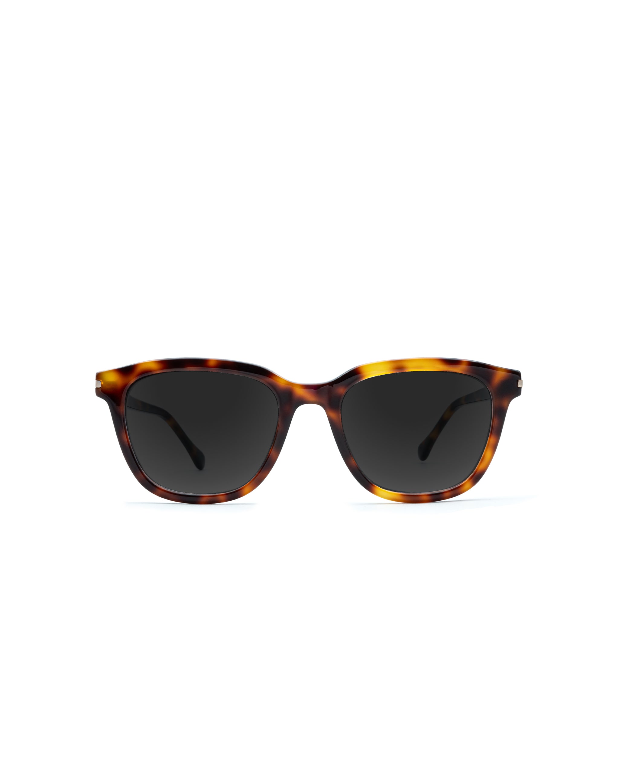 Rubin Sunglasses Single Vision