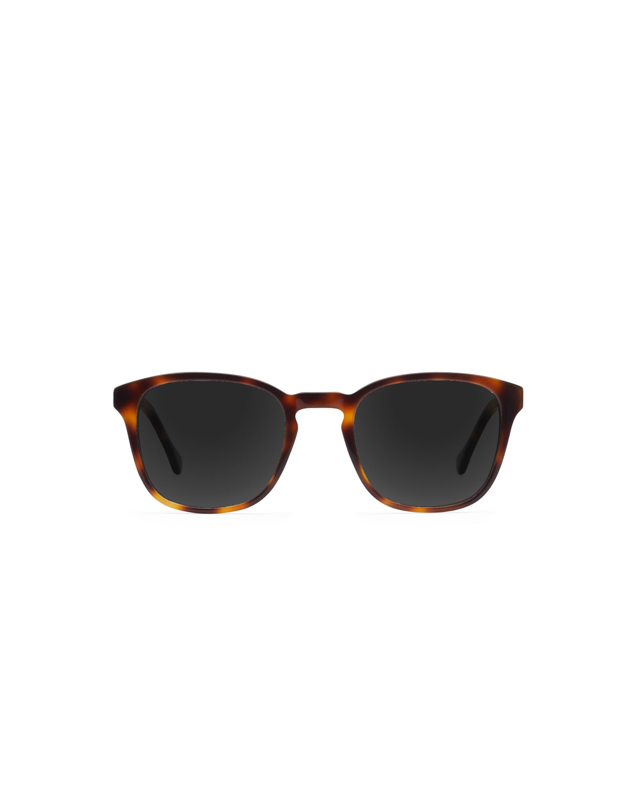 Tole Sunglasses Plano