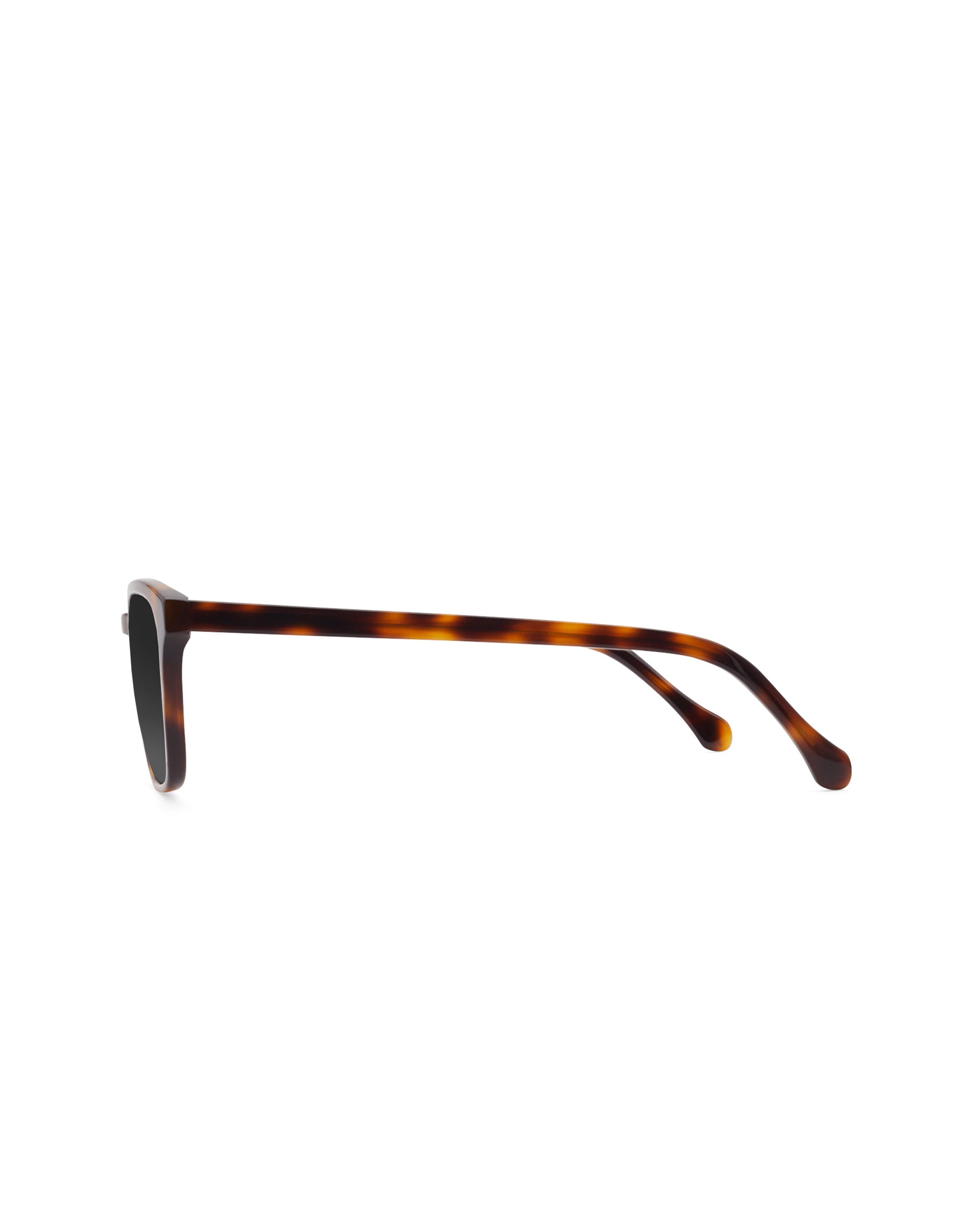 Tole Polarized Sunglasses Plano lenses