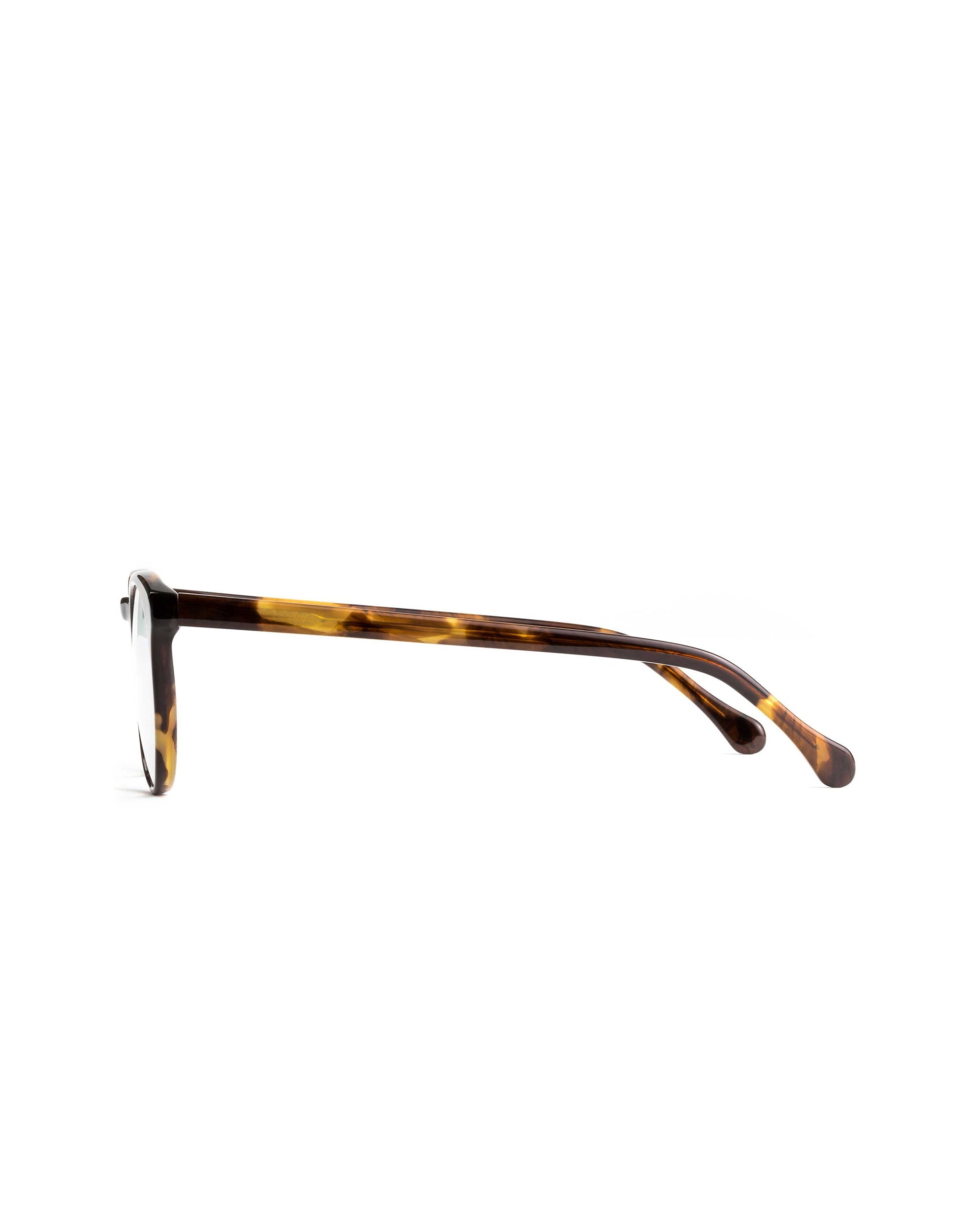 Turing Blue Light Glasses - Whiskey Tortoise frame with Clear