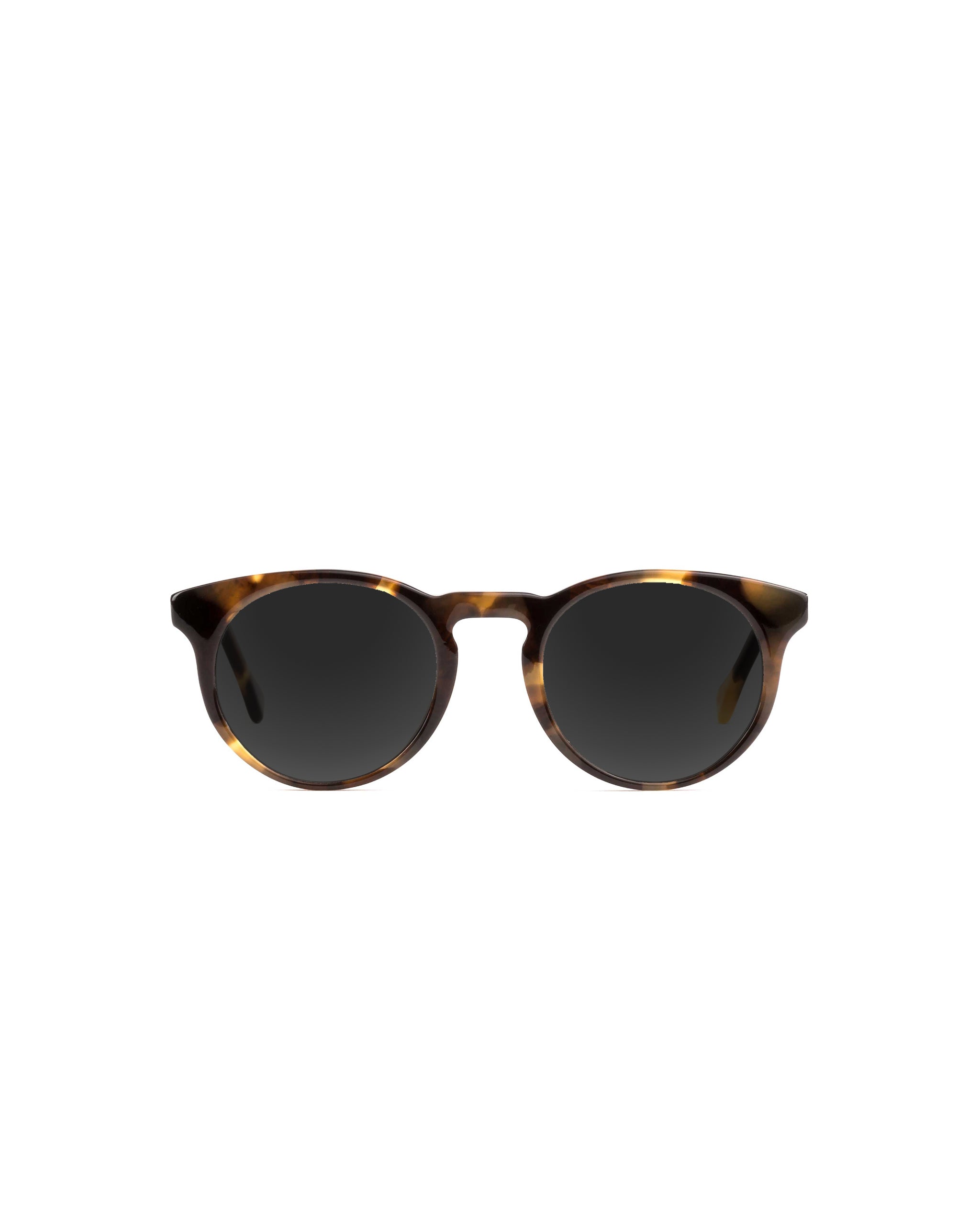 Turing Sunglasses Single Vision