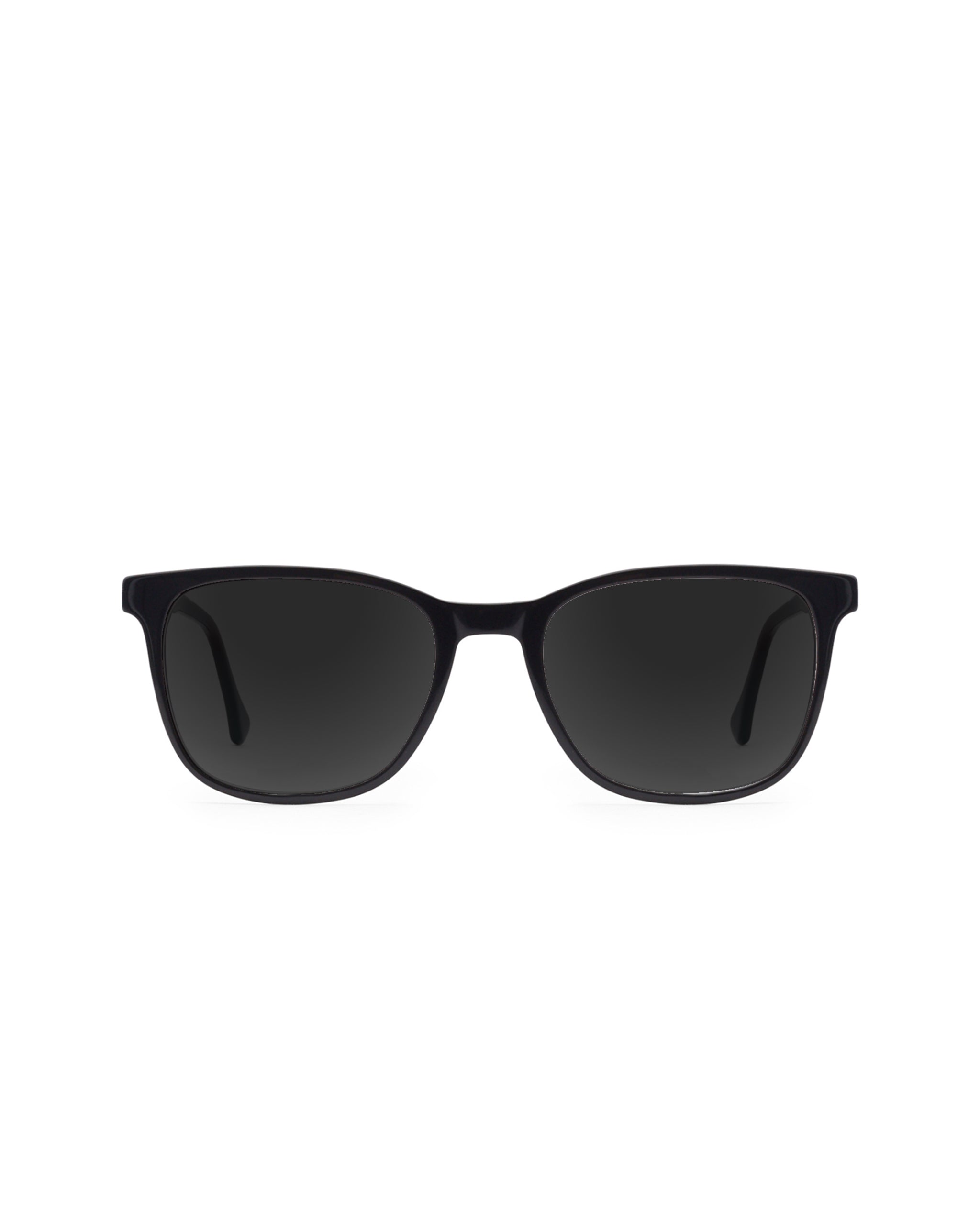 Volta Sunglasses Plano