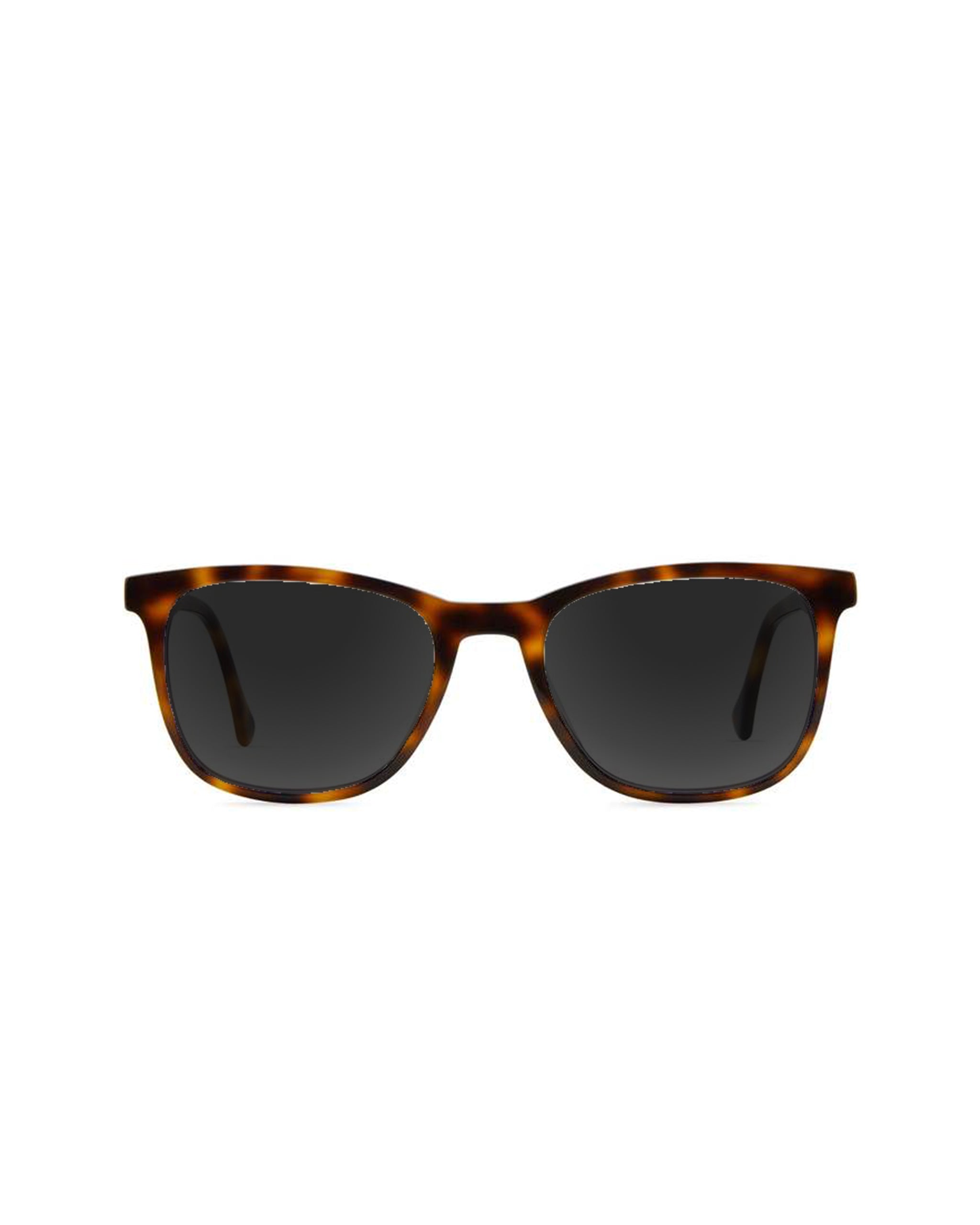 Volta Sunglasses Plano