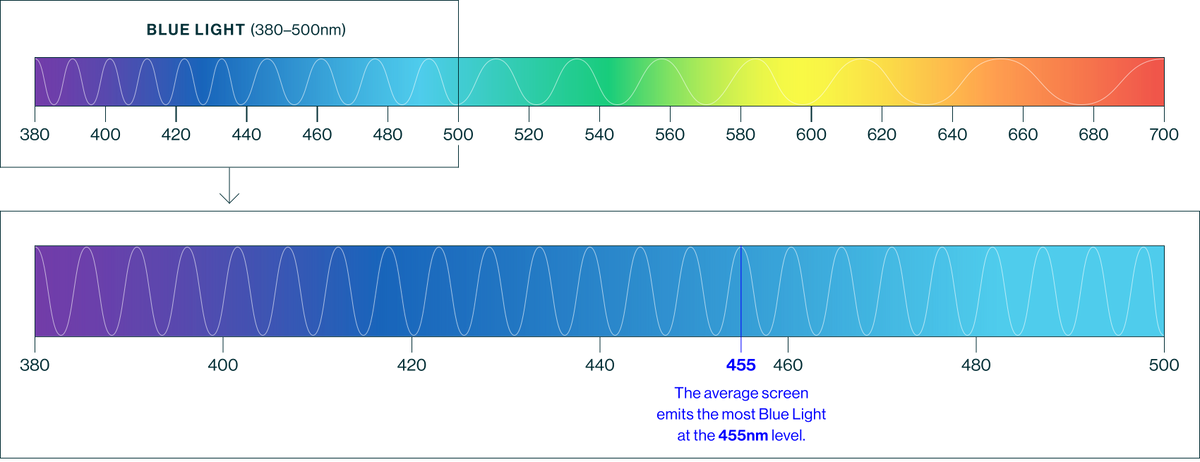 Diagram of the visible light spectrum measured in nanometers. It fouces on bluelight which is between 380 and 500nm. The average screen emits the most bluelight at 455nm level.