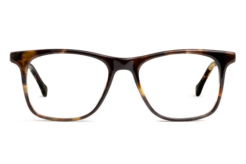 Jemison eyeglasses in whiskey tortoise viewed from front
