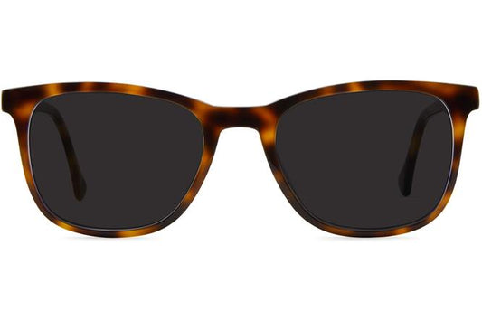 Volta sunglasses in sazerac viewed from front