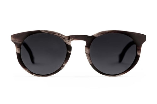 Turing sunglasses in horn viewed from front
