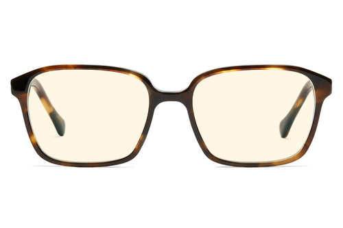 West sleepglasses in whiskey tortoise viewed from front